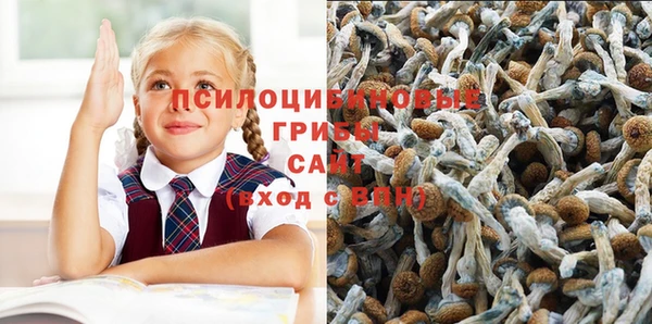 гашишное масло Алексеевка