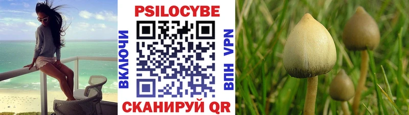 Псилоцибиновые грибы прущие грибы  Жуковский 