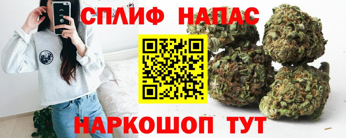 Конопля план Жуковский